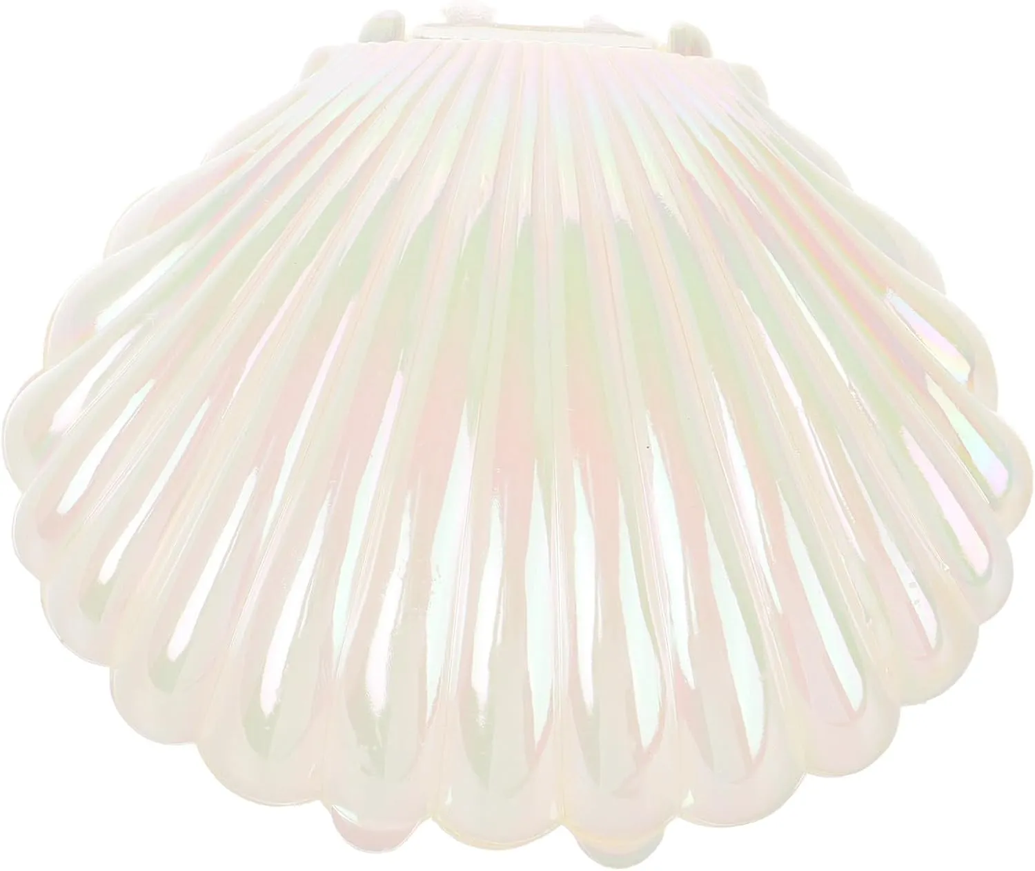 MAGICLULU Box Shell Jewelry Box Seashell Jewelry Storage Case Mermaid Trinket Dish Shell Jewelry Holder Small Candy Dish Shell Jewelry Container White Shell Shape Plastic Ornaments, 9.00X8.50X3.00CM