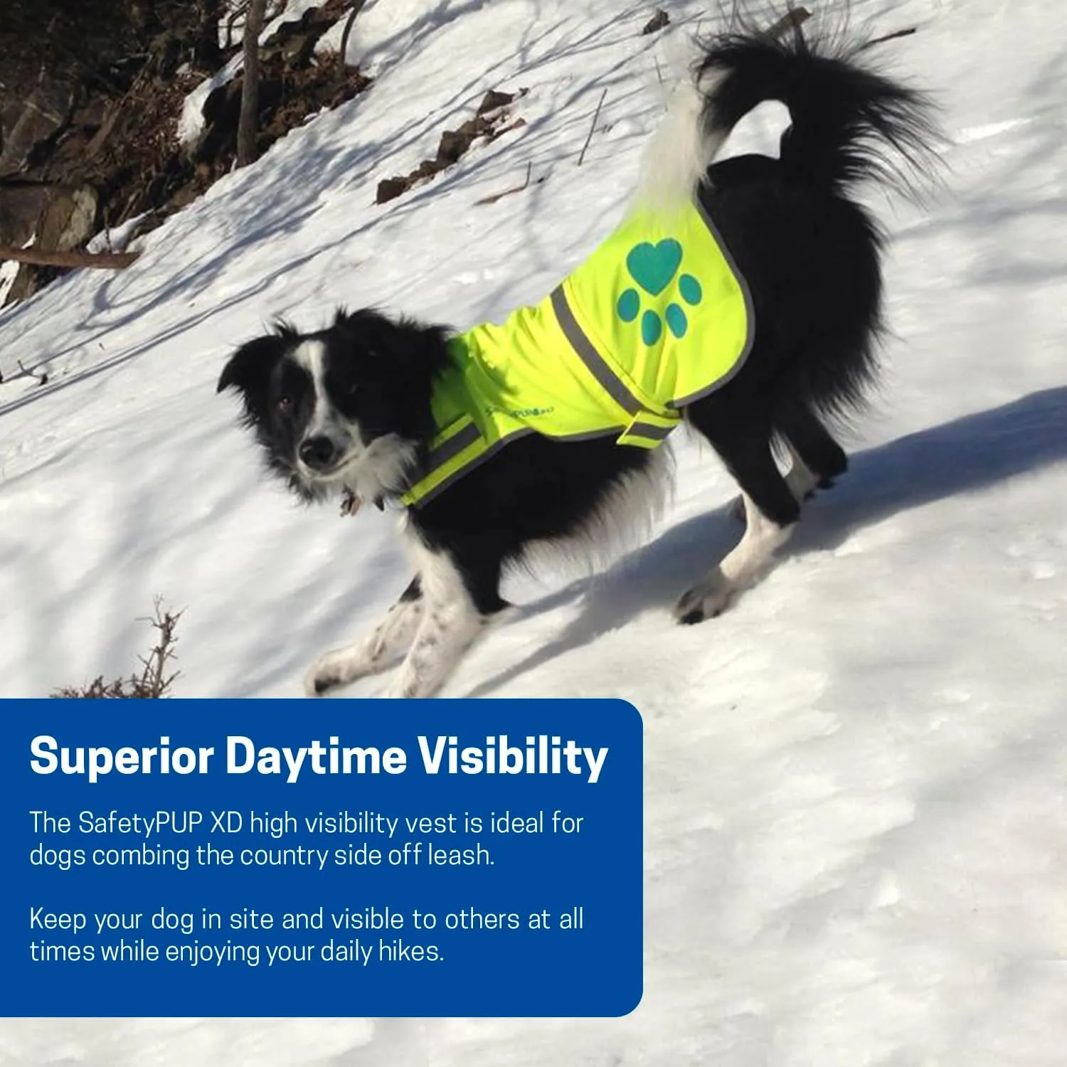Urban Dog Reflective Vest. Our Fluorescent Hi-Visibility Dog Jacket in Multi-Colors Helps to Safeguard Your PUP in The Outdoors On and Off Leash